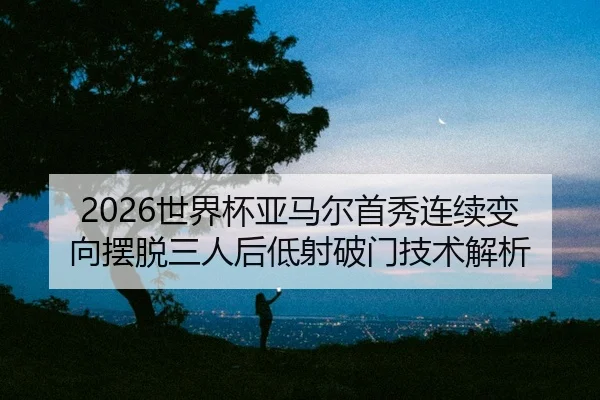 shi-jie-bei-ya-ma-er-shou-xiu-lian-xu-bian-xiang-bai-tuo-san-ren-hou-di-she-po-men-ji-shu-jie-xi-2-462.jpg