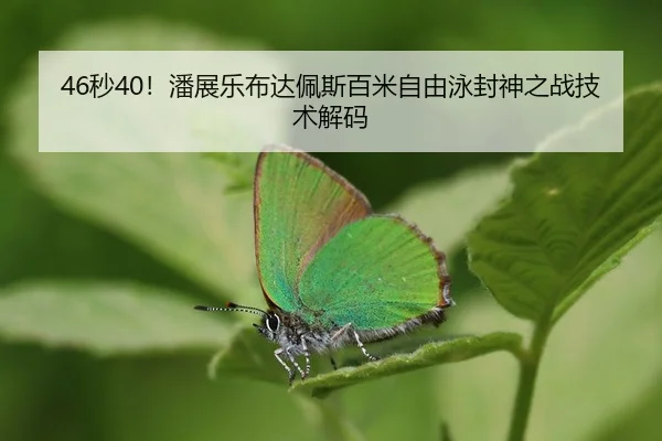 miao-pan-zhan-le-bu-da-pei-si-bai-mi-zi-you-yong-feng-shen-zhi-zhan-ji-shu-jie-ma-2-926.jpg